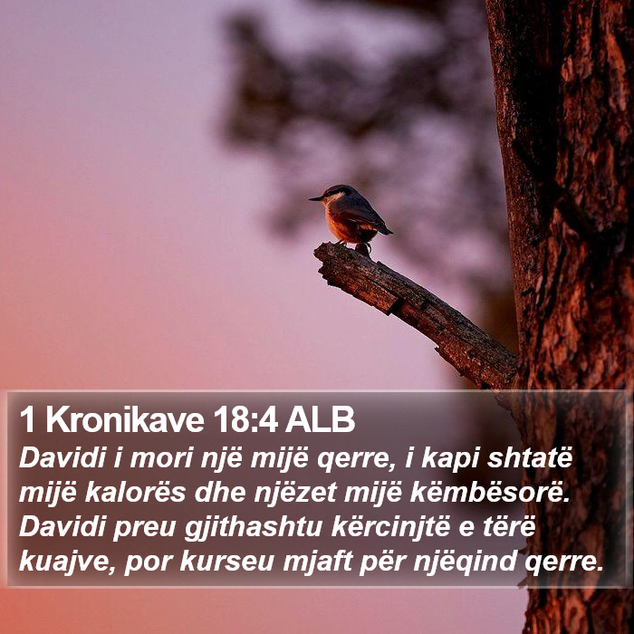 1 Kronikave 18:4 ALB Bible Study