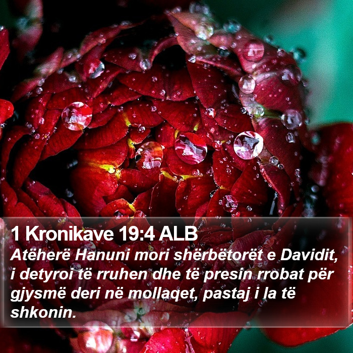 1 Kronikave 19:4 ALB Bible Study