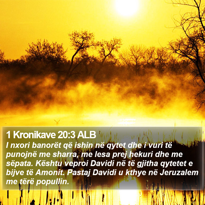 1 Kronikave 20:3 ALB Bible Study