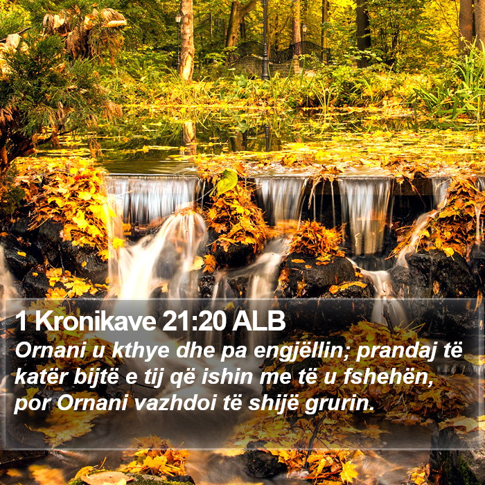 1 Kronikave 21:20 ALB Bible Study