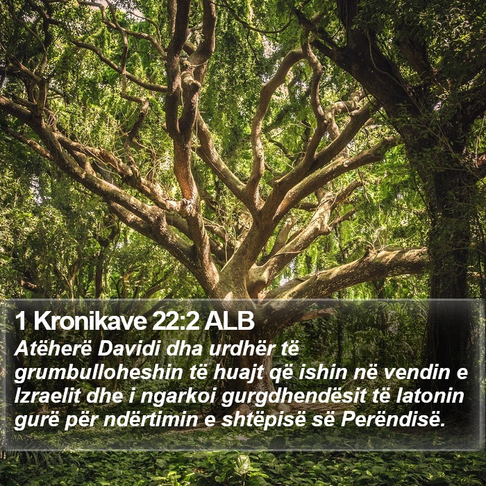 1 Kronikave 22:2 ALB Bible Study