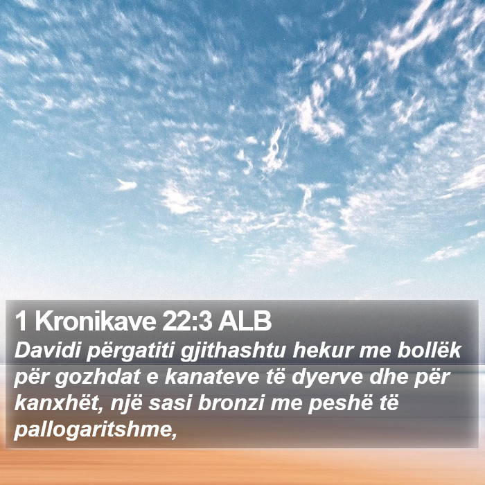 1 Kronikave 22:3 ALB Bible Study