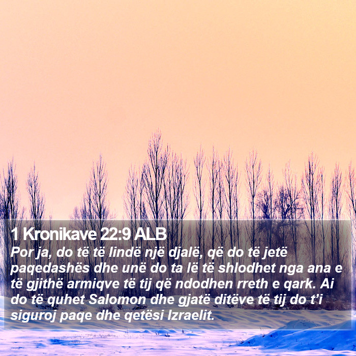 1 Kronikave 22:9 ALB Bible Study