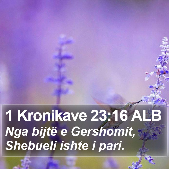 1 Kronikave 23:16 ALB Bible Study