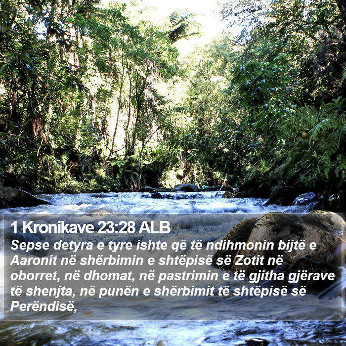 1 Kronikave 23:28 ALB Bible Study