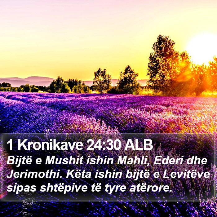 1 Kronikave 24:30 ALB Bible Study