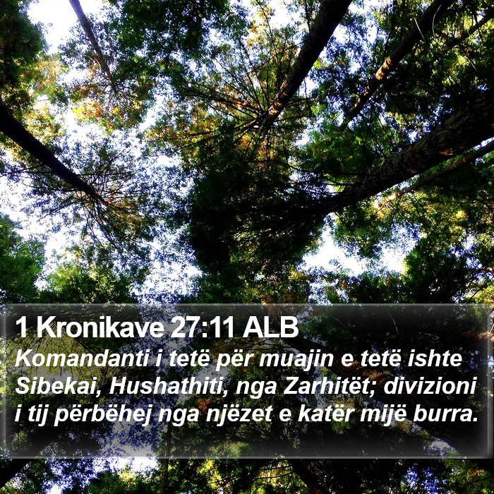 1 Kronikave 27:11 ALB Bible Study