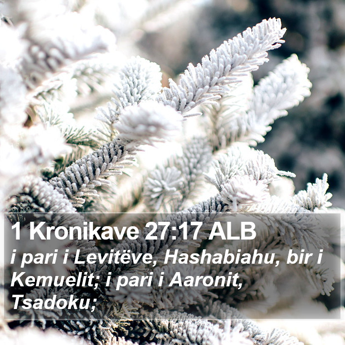 1 Kronikave 27:17 ALB Bible Study