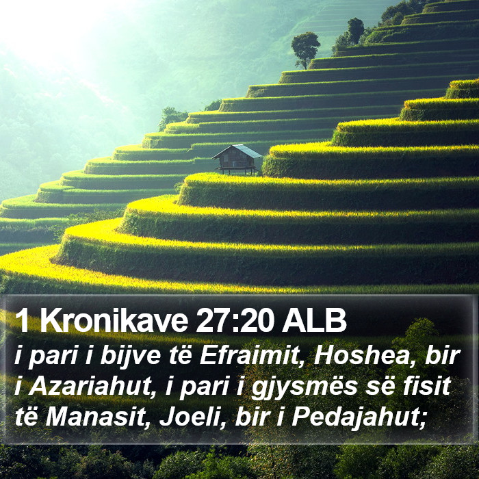 1 Kronikave 27:20 ALB Bible Study