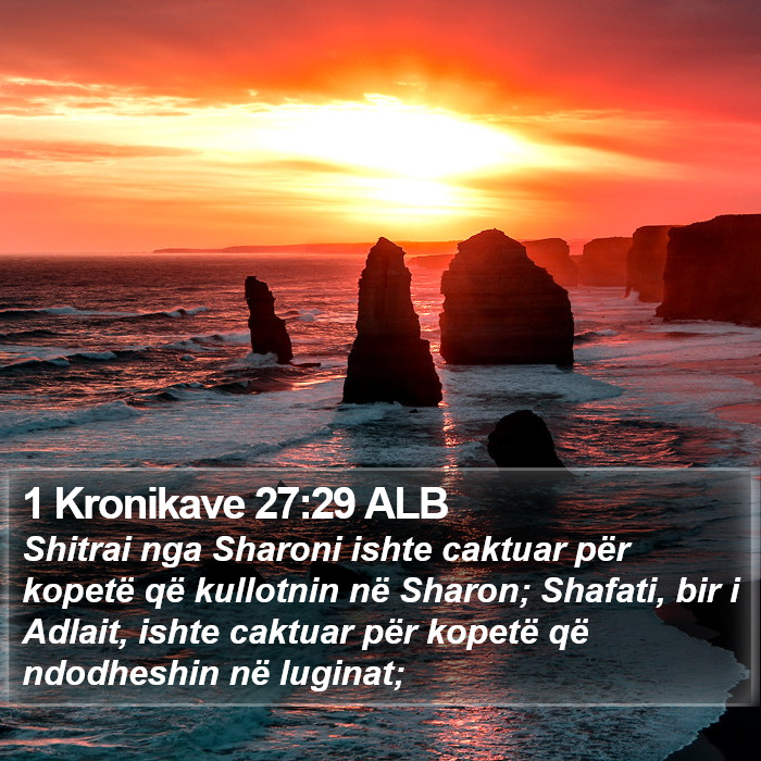 1 Kronikave 27:29 ALB Bible Study