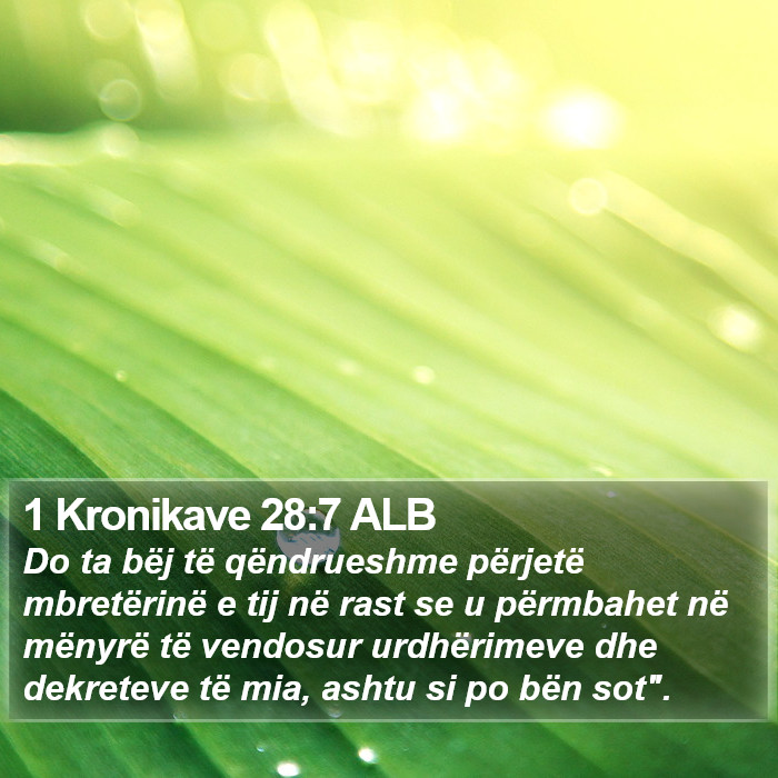 1 Kronikave 28:7 ALB Bible Study