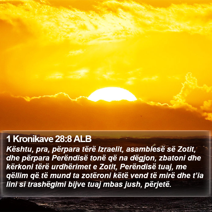 1 Kronikave 28:8 ALB Bible Study