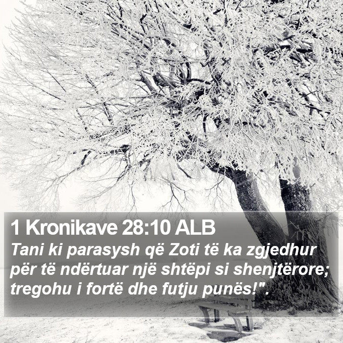 1 Kronikave 28:10 ALB Bible Study