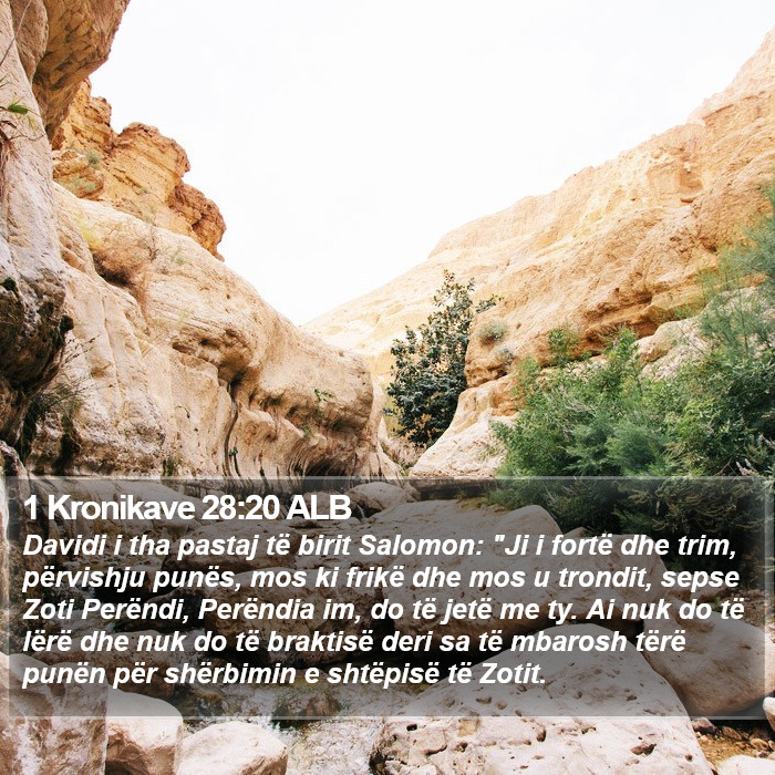 1 Kronikave 28:20 ALB Bible Study