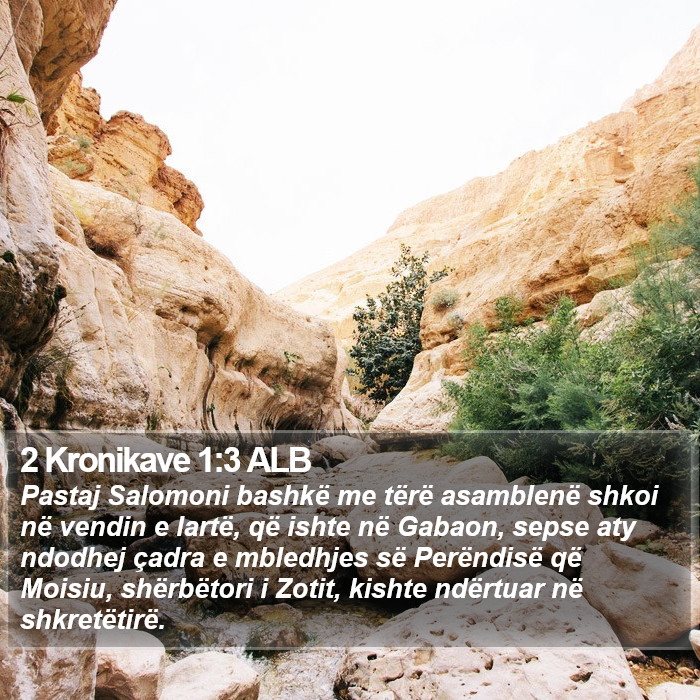 2 Kronikave 1:3 ALB Bible Study