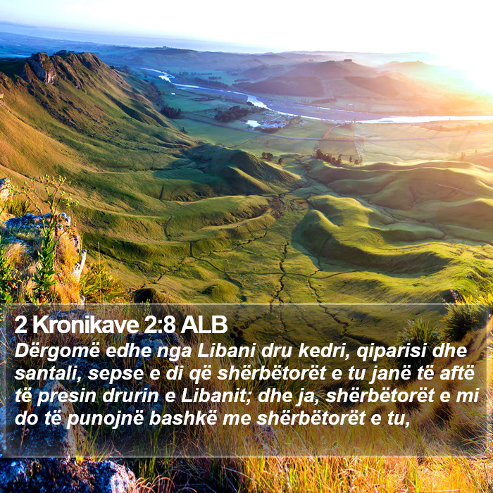 2 Kronikave 2:8 ALB Bible Study