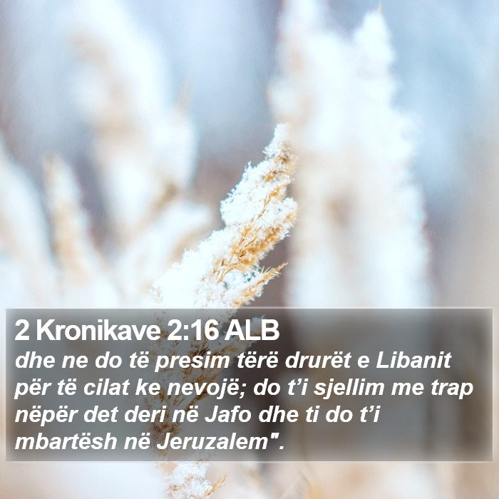 2 Kronikave 2:16 ALB Bible Study