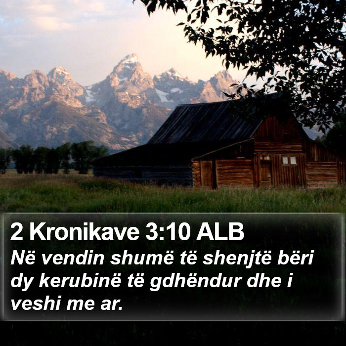 2 Kronikave 3:10 ALB Bible Study