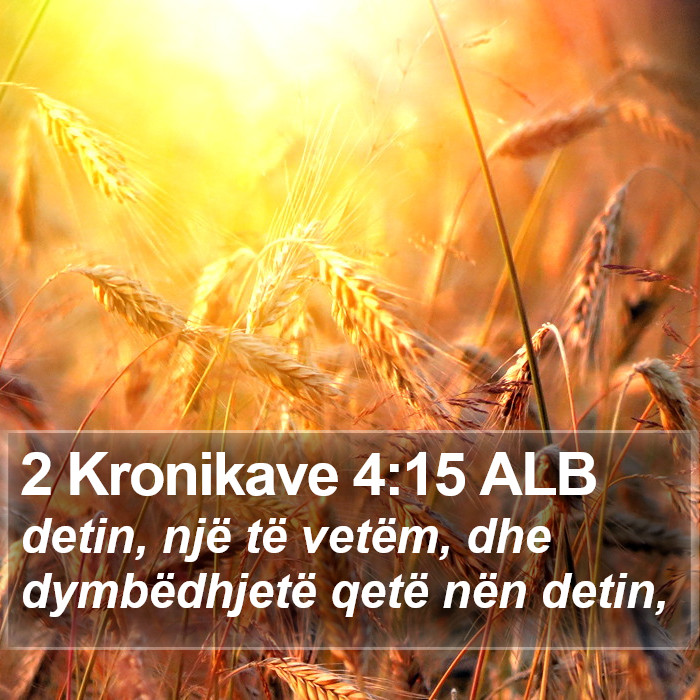 2 Kronikave 4:15 ALB Bible Study