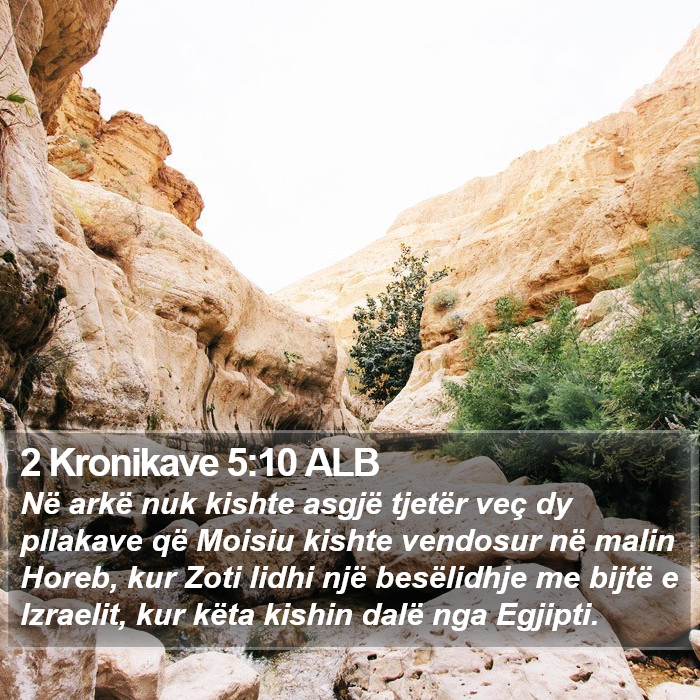 2 Kronikave 5:10 ALB Bible Study