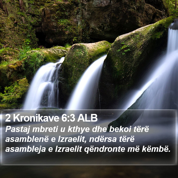 2 Kronikave 6:3 ALB Bible Study