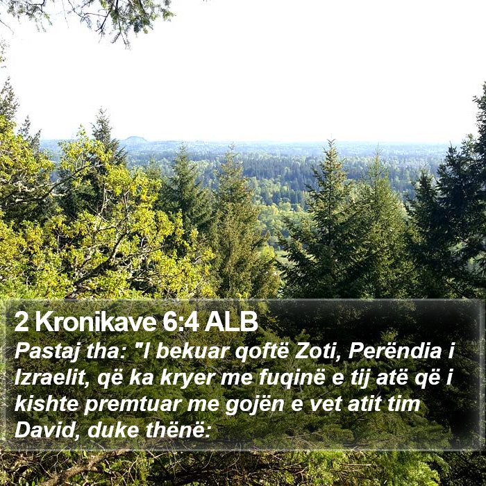 2 Kronikave 6:4 ALB Bible Study