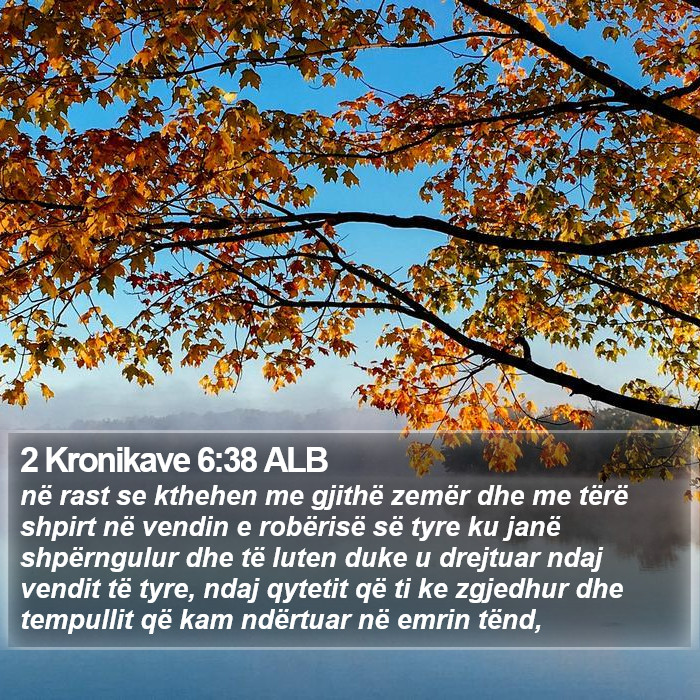 2 Kronikave 6:38 ALB Bible Study