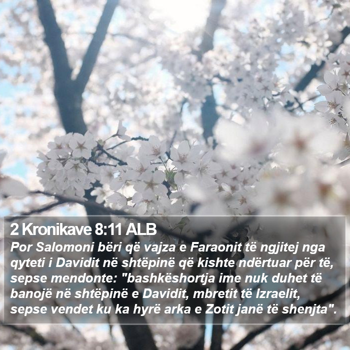 2 Kronikave 8:11 ALB Bible Study