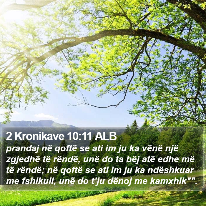 2 Kronikave 10:11 ALB Bible Study