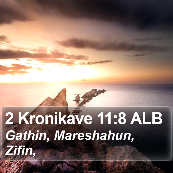 2 Kronikave 11:8 ALB Bible Study