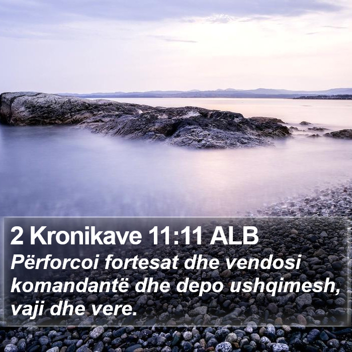 2 Kronikave 11:11 ALB Bible Study