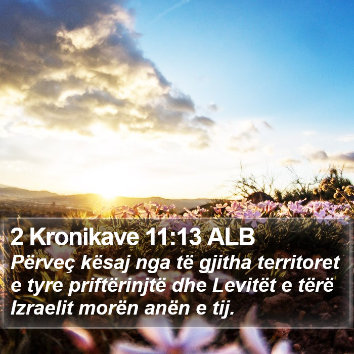 2 Kronikave 11:13 ALB Bible Study