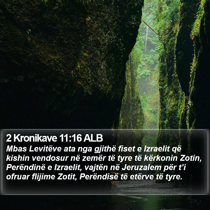 2 Kronikave 11:16 ALB Bible Study