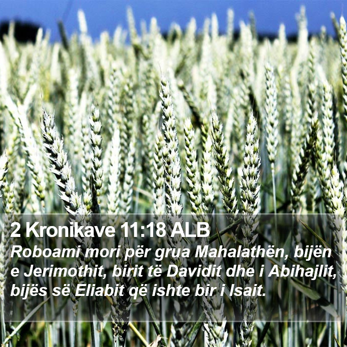 2 Kronikave 11:18 ALB Bible Study