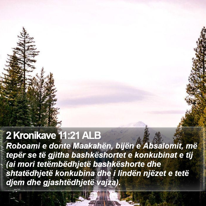 2 Kronikave 11:21 ALB Bible Study