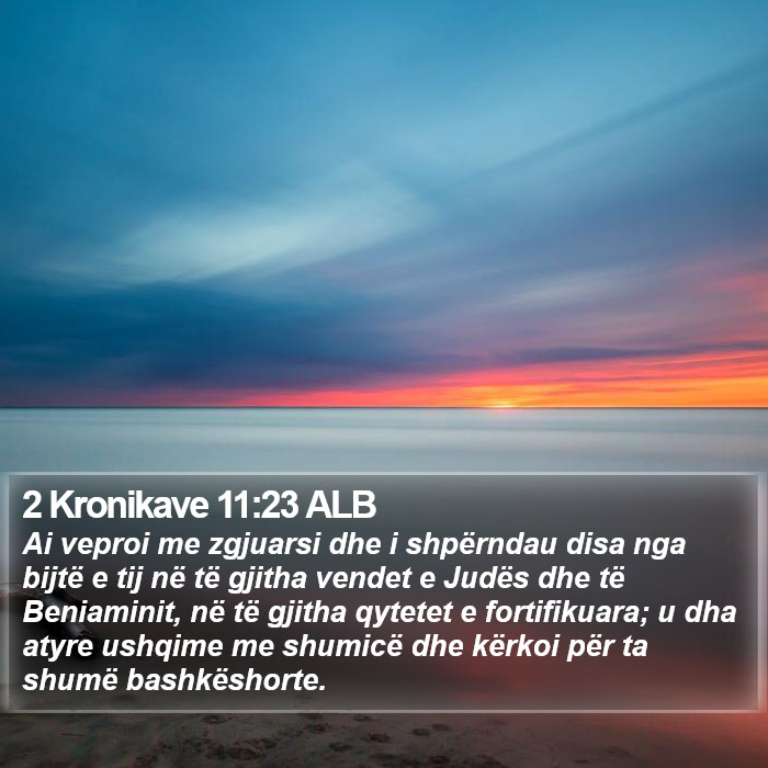 2 Kronikave 11:23 ALB Bible Study