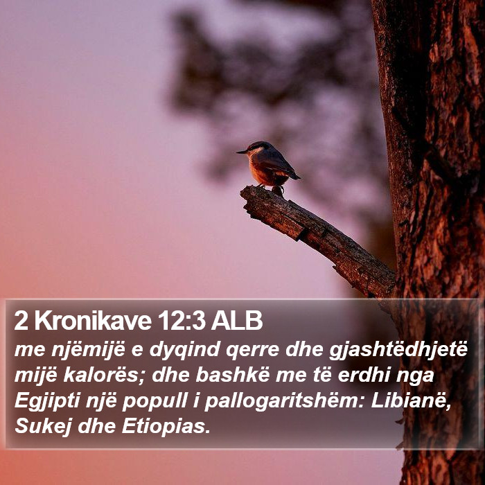 2 Kronikave 12:3 ALB Bible Study