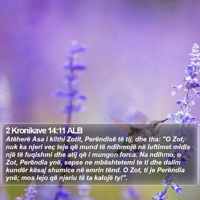 2 Kronikave 14:11 ALB Bible Study