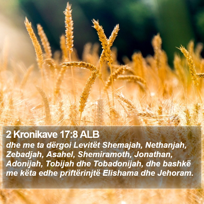 2 Kronikave 17:8 ALB Bible Study