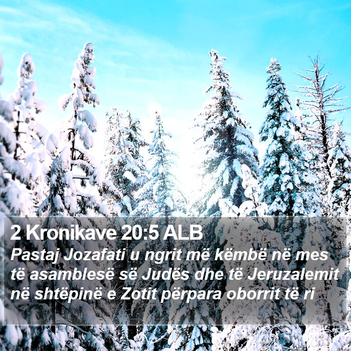 2 Kronikave 20:5 ALB Bible Study