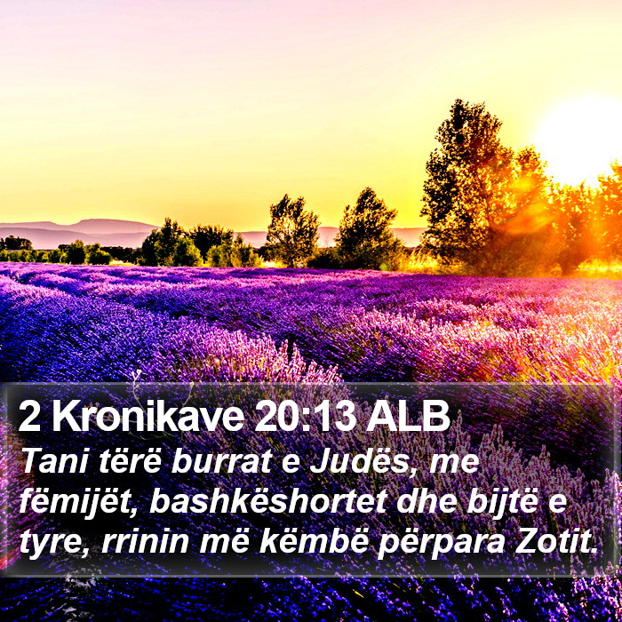 2 Kronikave 20:13 ALB Bible Study