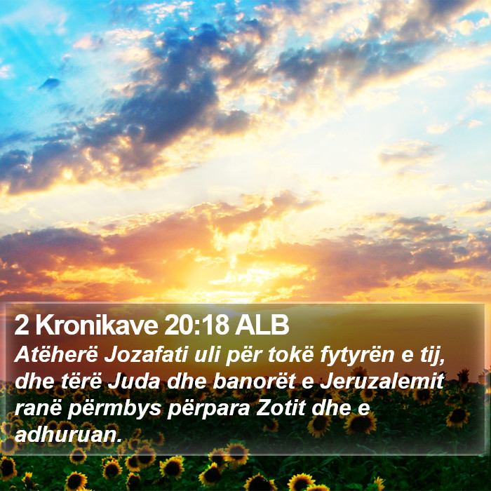 2 Kronikave 20:18 ALB Bible Study