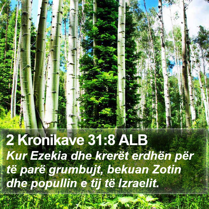 2 Kronikave 31:8 ALB Bible Study