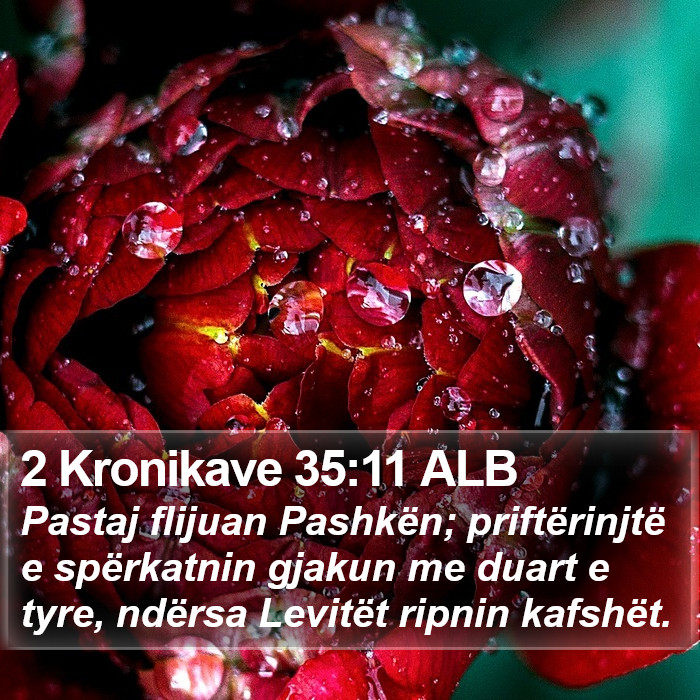 2 Kronikave 35:11 ALB Bible Study