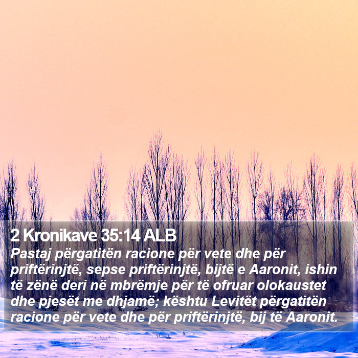 2 Kronikave 35:14 ALB Bible Study