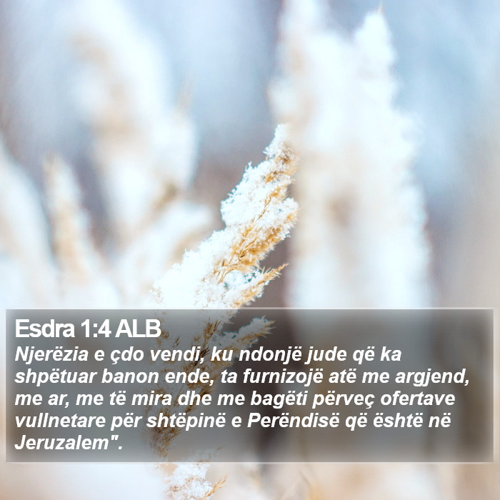 Esdra 1:4 ALB Bible Study