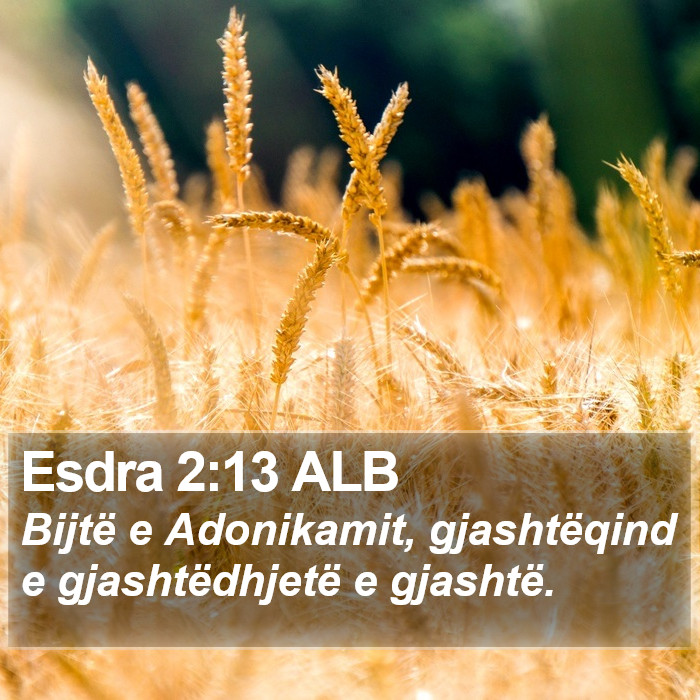 Esdra 2:13 ALB Bible Study
