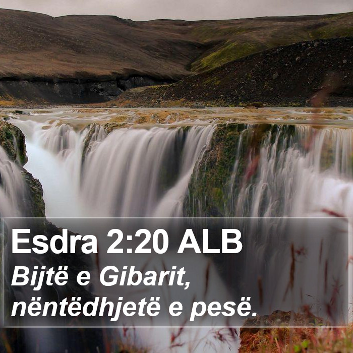 Esdra 2:20 ALB Bible Study