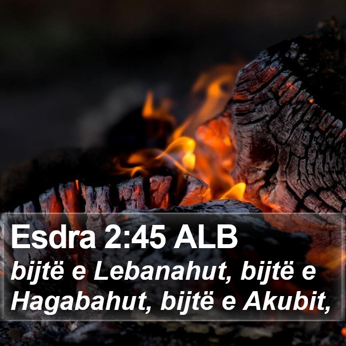 Esdra 2:45 ALB Bible Study