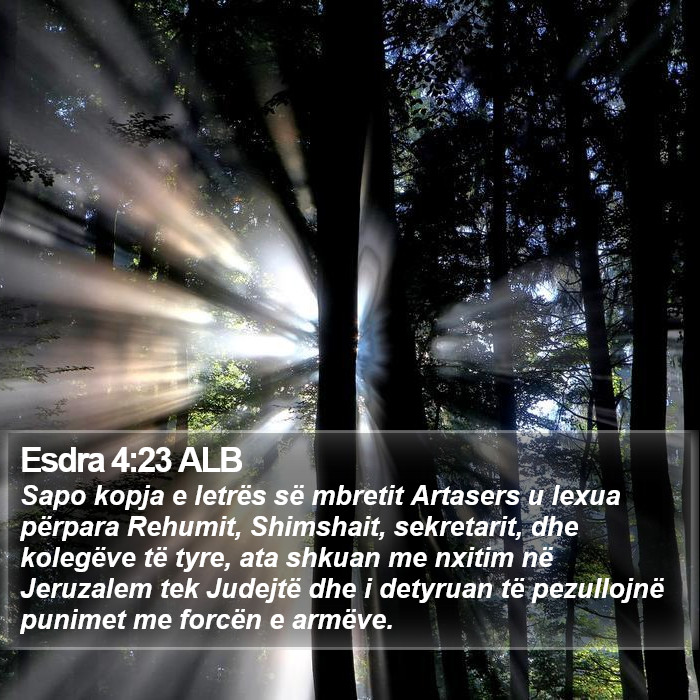 Esdra 4:23 ALB Bible Study